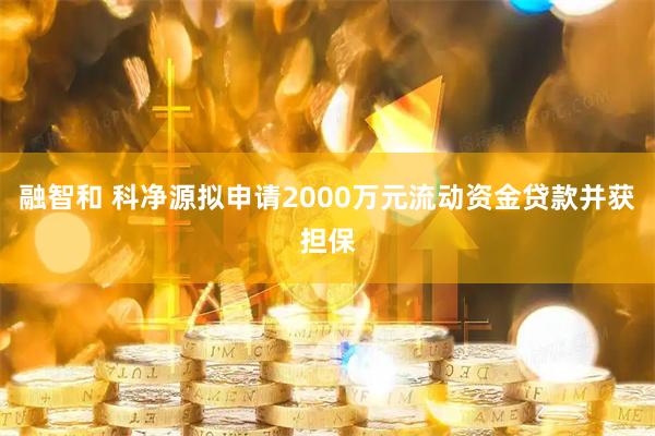融智和 科净源拟申请2000万元流动资金贷款并获担保
