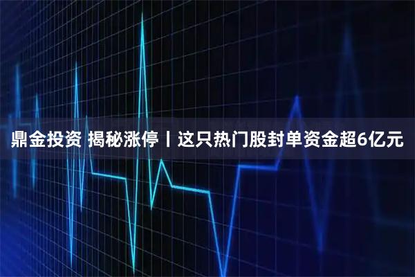 鼎金投资 揭秘涨停丨这只热门股封单资金超6亿元