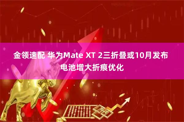 金领速配 华为Mate XT 2三折叠或10月发布 电池增大折痕优化