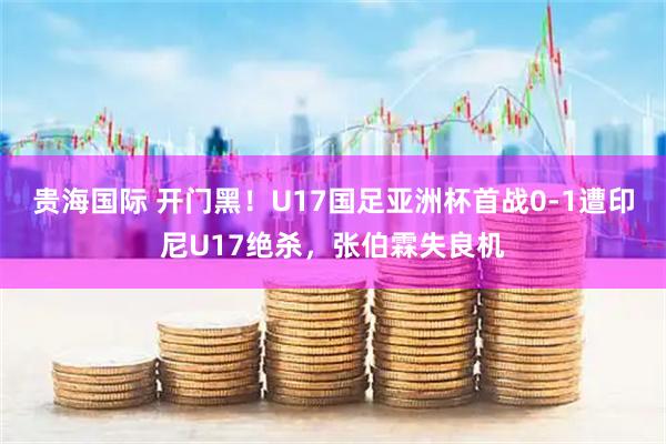 贵海国际 开门黑！U17国足亚洲杯首战0-1遭印尼U17绝杀，张伯霖失良机