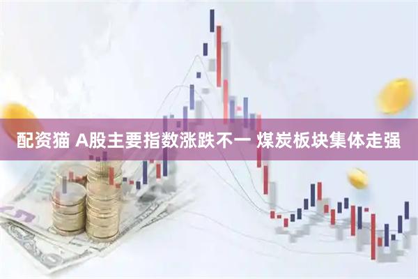 配资猫 A股主要指数涨跌不一 煤炭板块集体走强